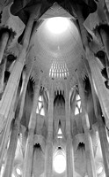 The interior of the Basilica de la Sagrada Familia