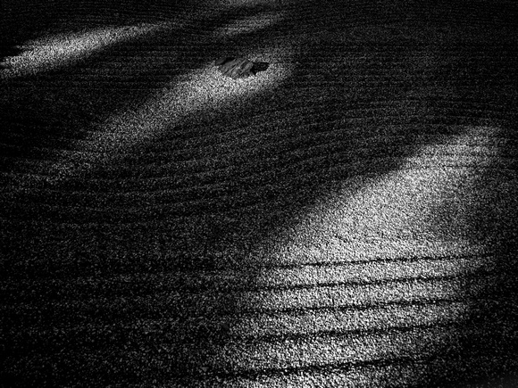 Zen garden shadows